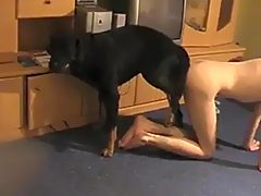 Guy fucks with dog in ass